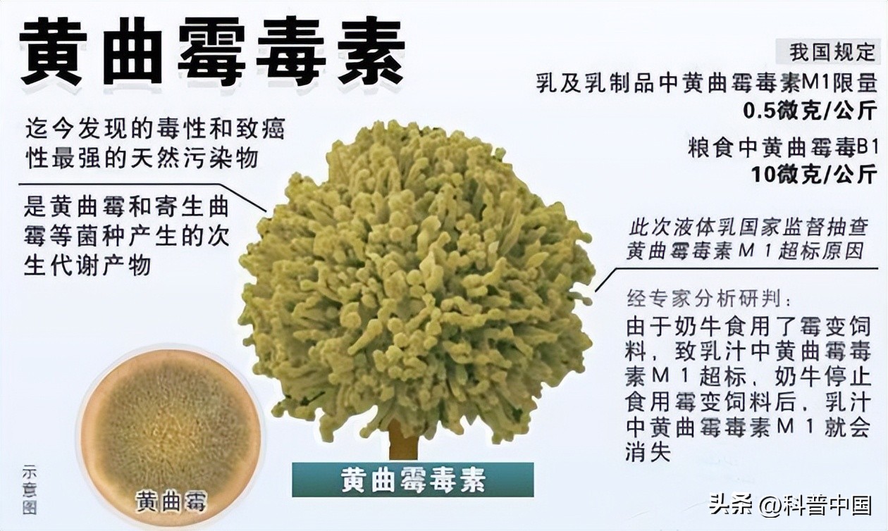 这6种癌症趁早治愈,可以治愈的三种癌症不必过度恐慌