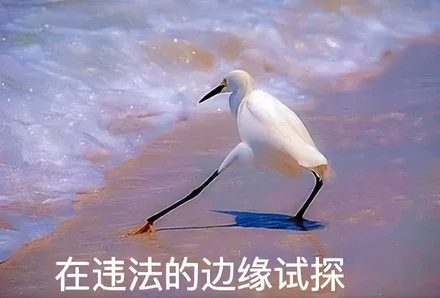 空手套白狼是诈骗吗,诈骗团伙诈骗失败