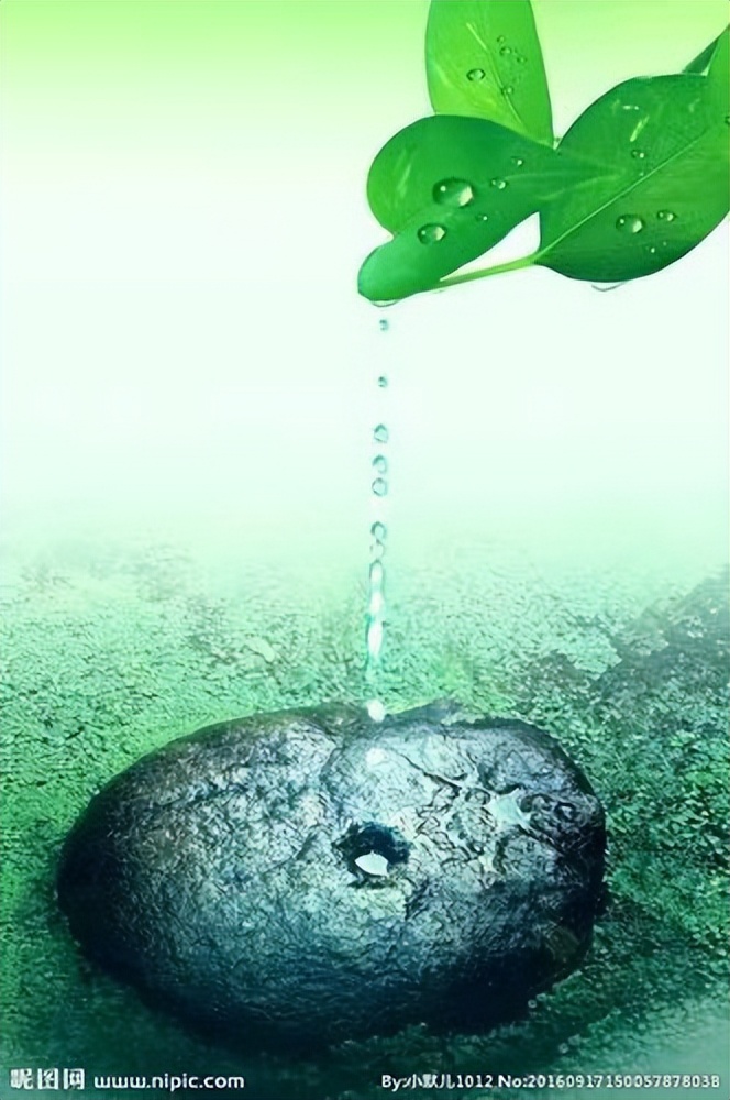 怎样才能完成自己的心愿,怎么样才能实现愿望