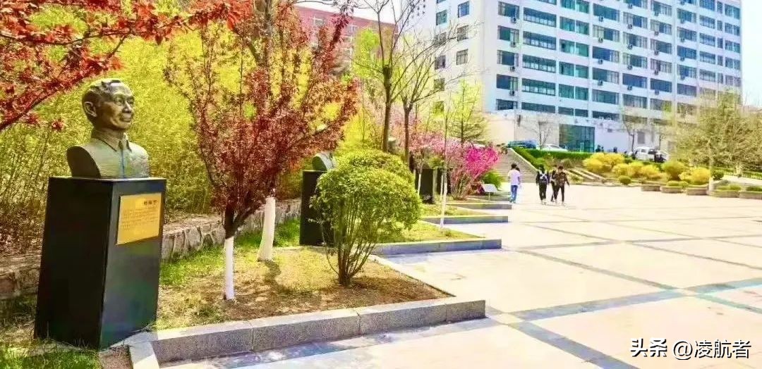 致萌新的学长学姐寄语,致学长学姐的一封信