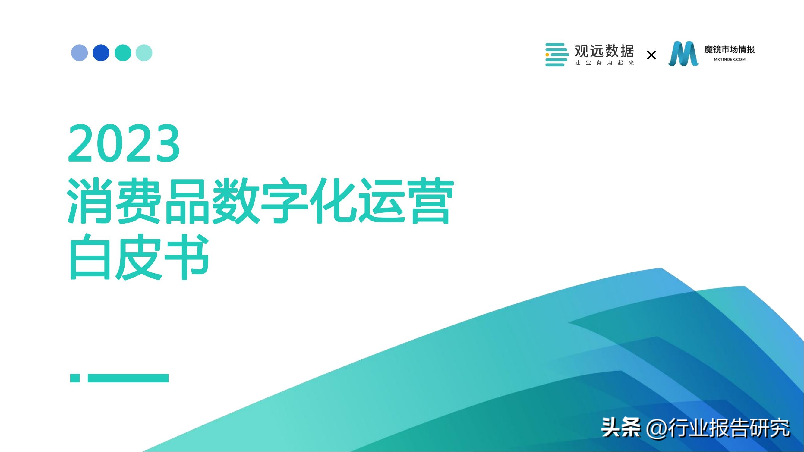 消费行业2023年消费者洞察白皮书,2022消费品零售业分析报告