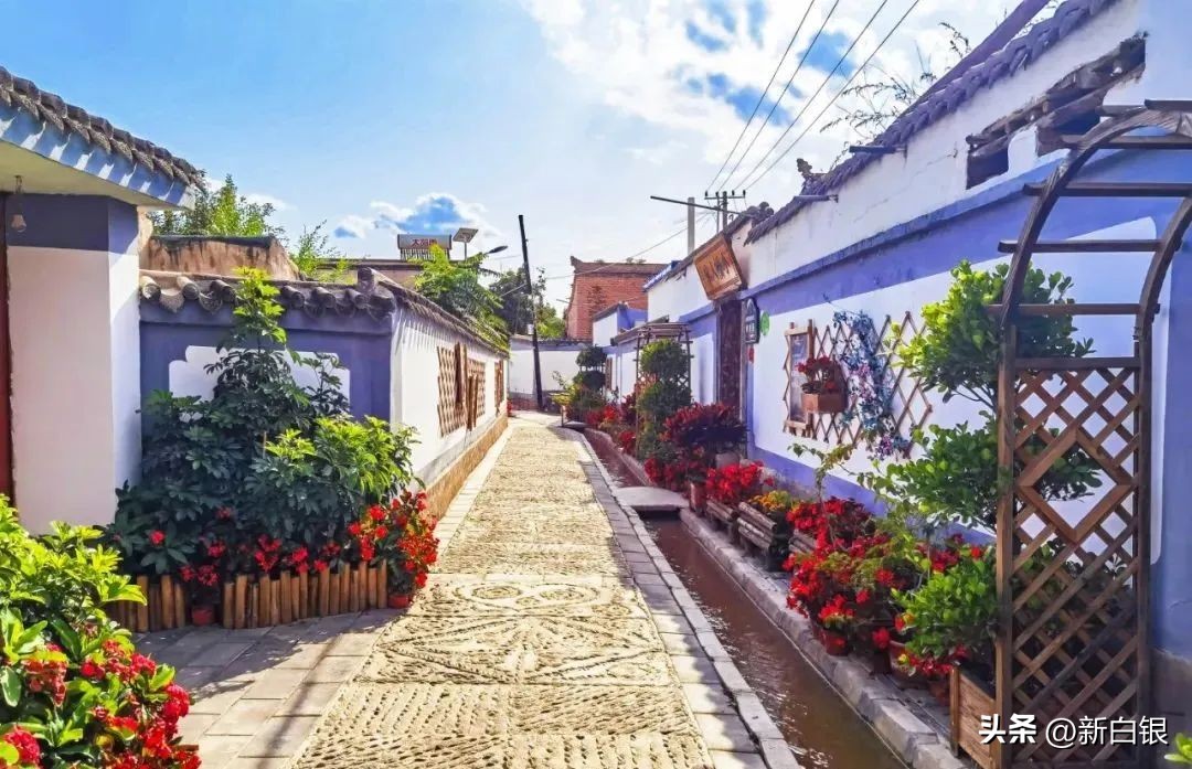 看看粤港澳大湾区记者们笔下的白银