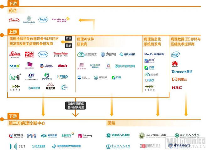 病理检测市场情况,病理报告有用吗