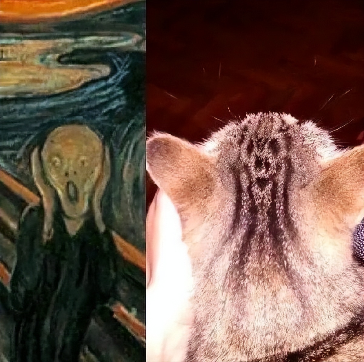 微信输入法1.13测试,微信输入法刚出来时被吐槽