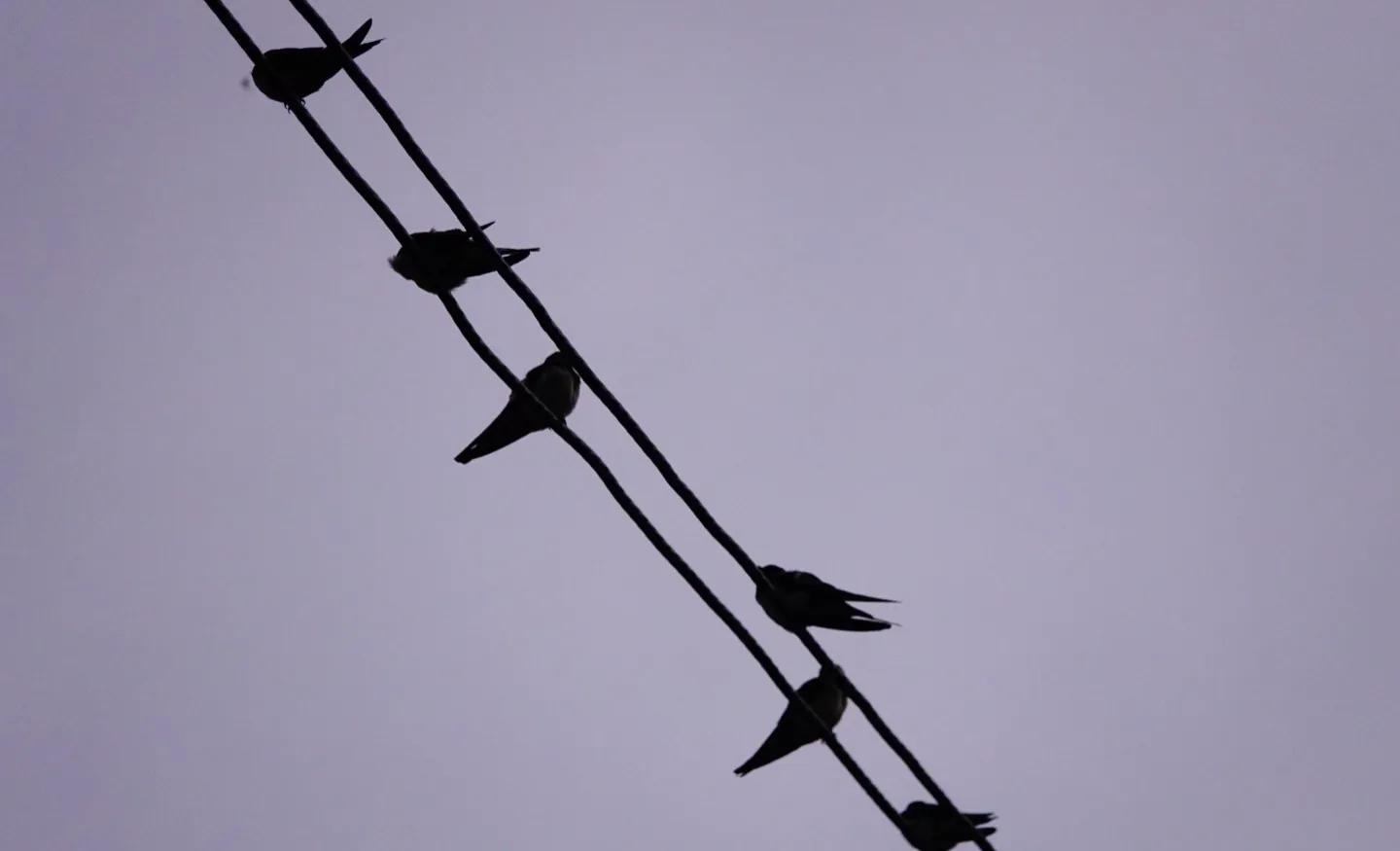 若能“三无”，就得逍遥：《逍遥游》的含义及逻辑［也人］