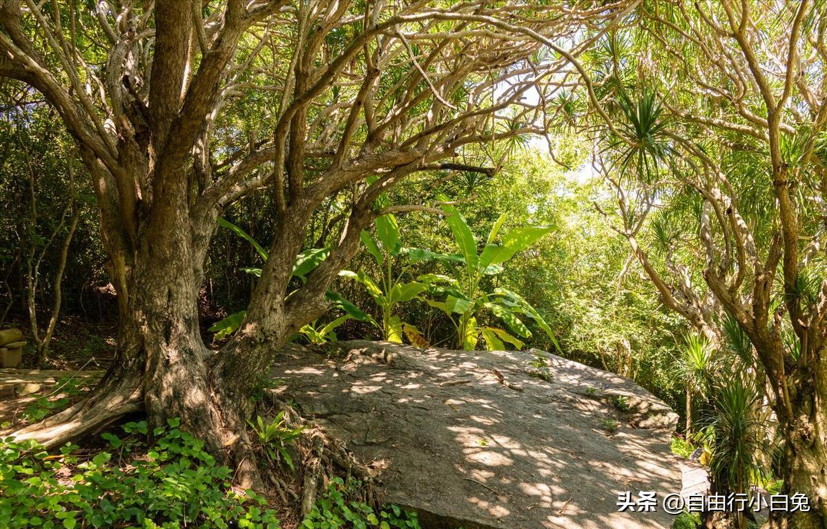 三亚天涯海角大小洞天一日游,海南三亚天涯海角大小洞天景区