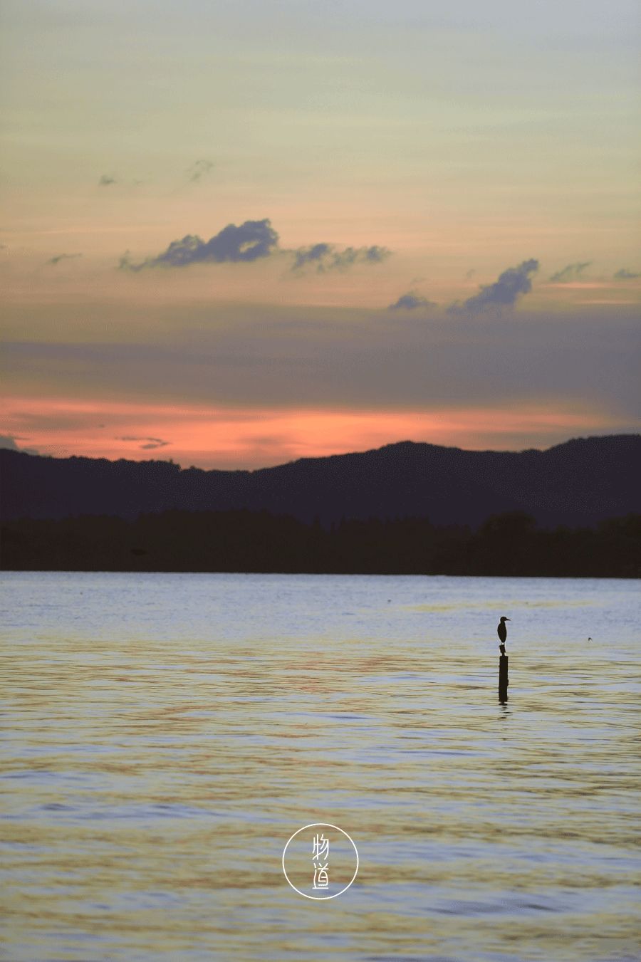 处暑的读音,处暑节气