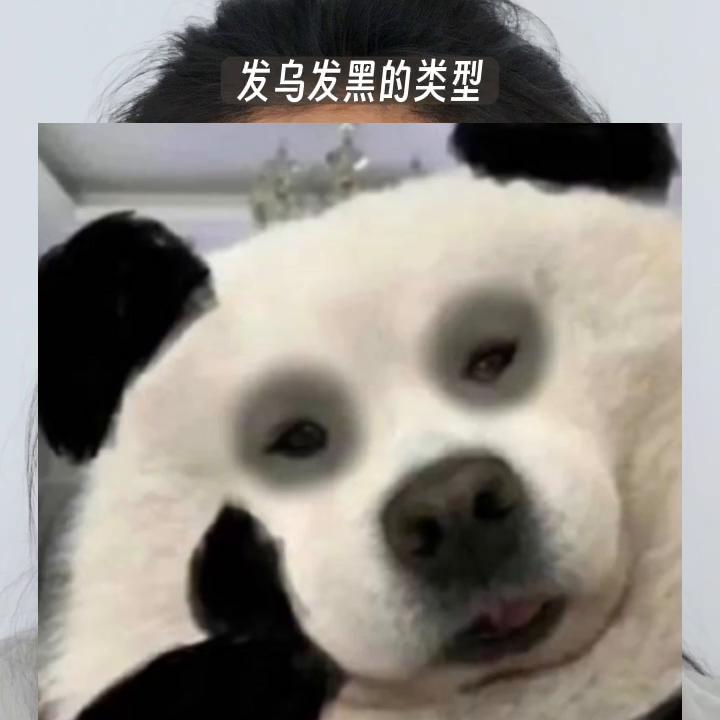 一步一步教你完美底妆,怎么能有一个干净又自然的底妆