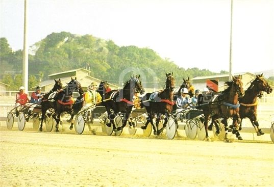 澳门风云的照片,70张老照片图片