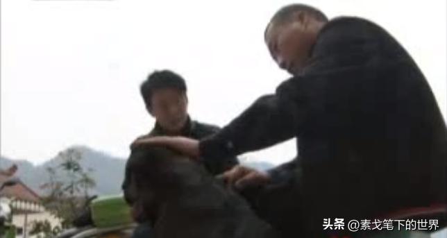 男子捡400只流浪狗,四川男子从路边捡来黑狗完整版