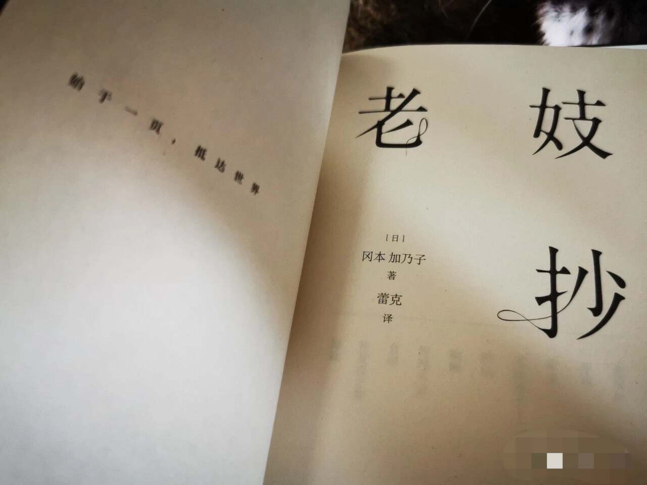 《老妓抄》：老妇人圈养年轻男子的故事，道尽了女*爱性**与欲的隐痛