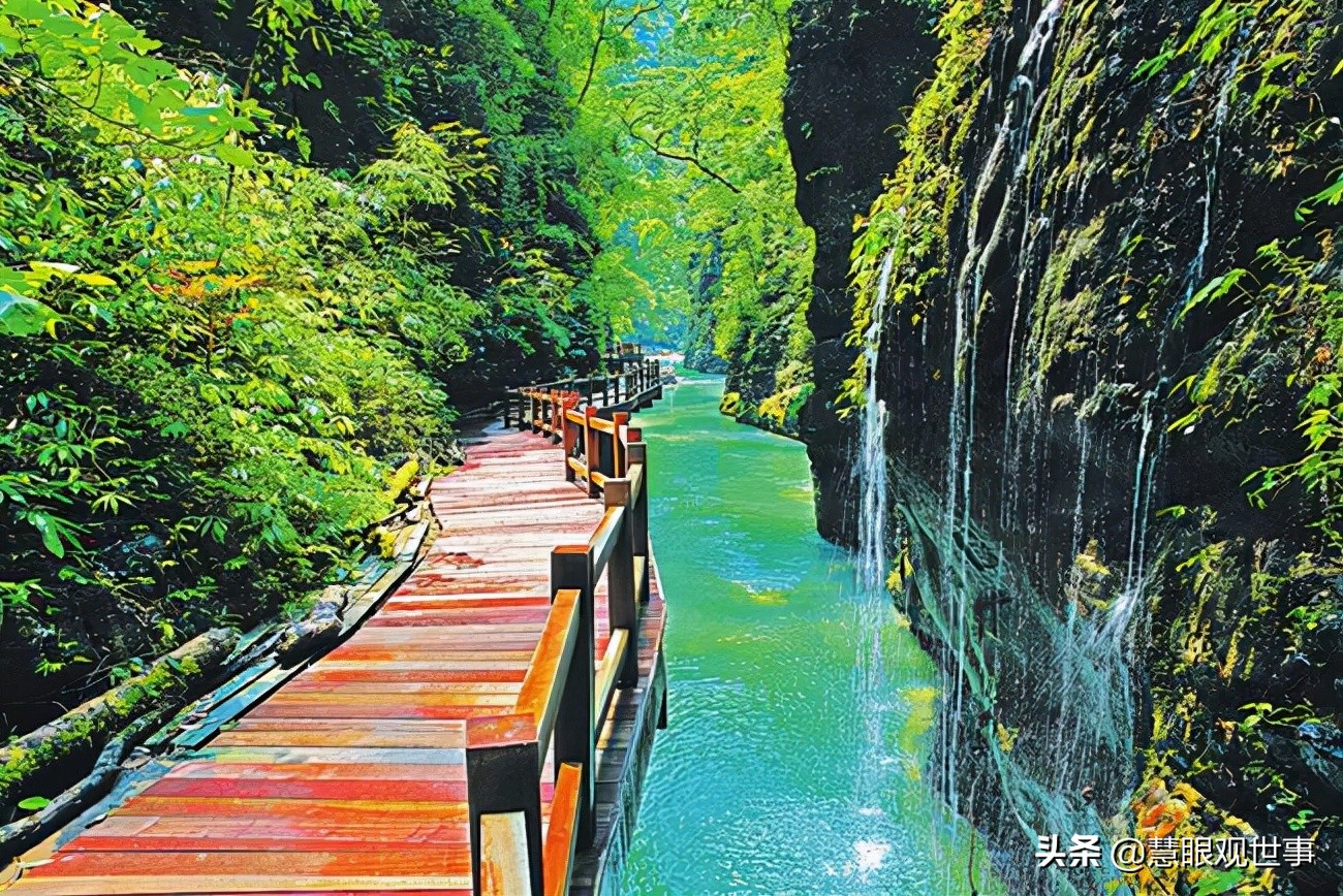 侯海洋基层风云全文免费阅读,侯海洋基层风云完整版免费听