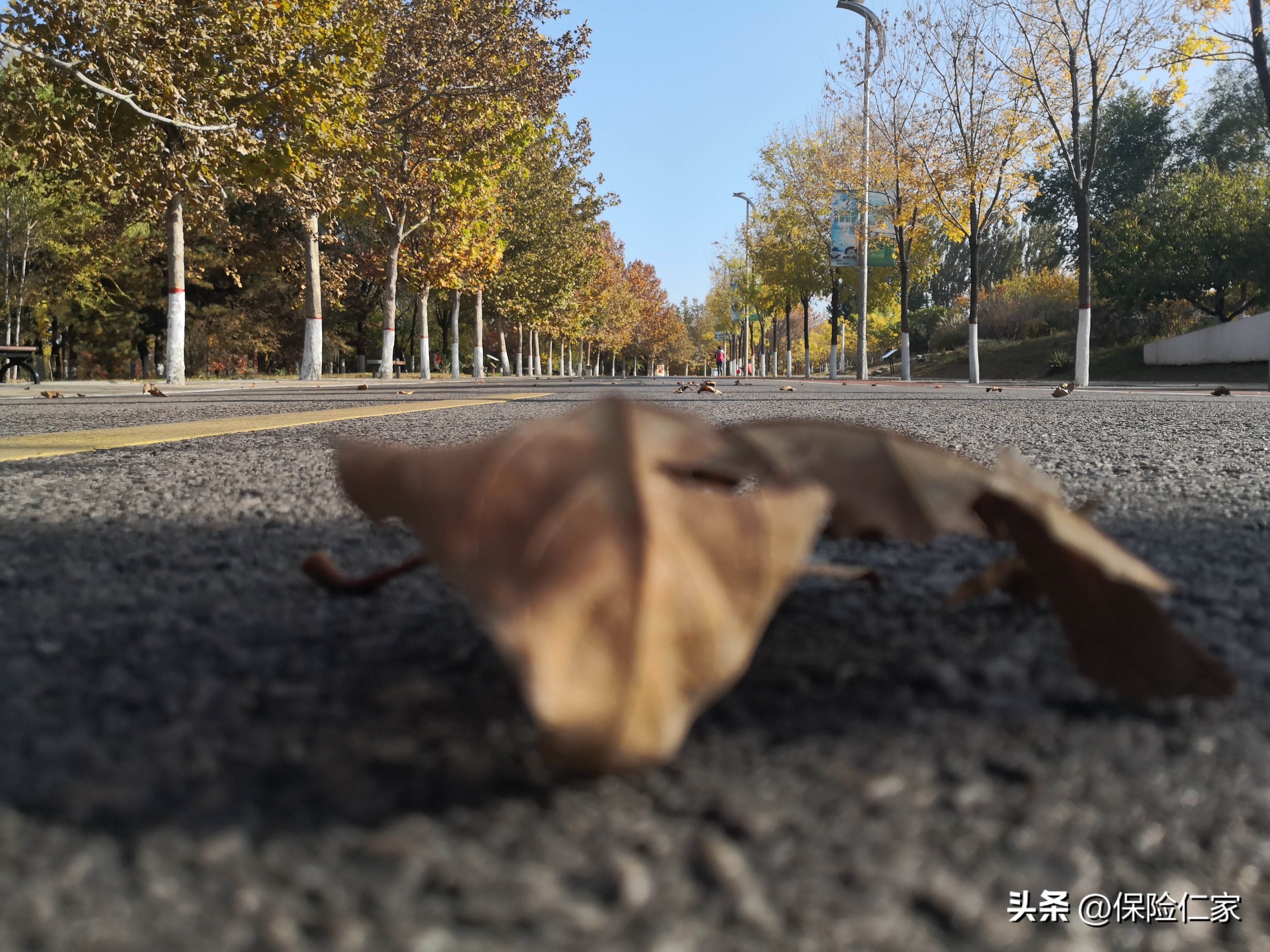 保险续期交不起,第二年保费交不起会怎样