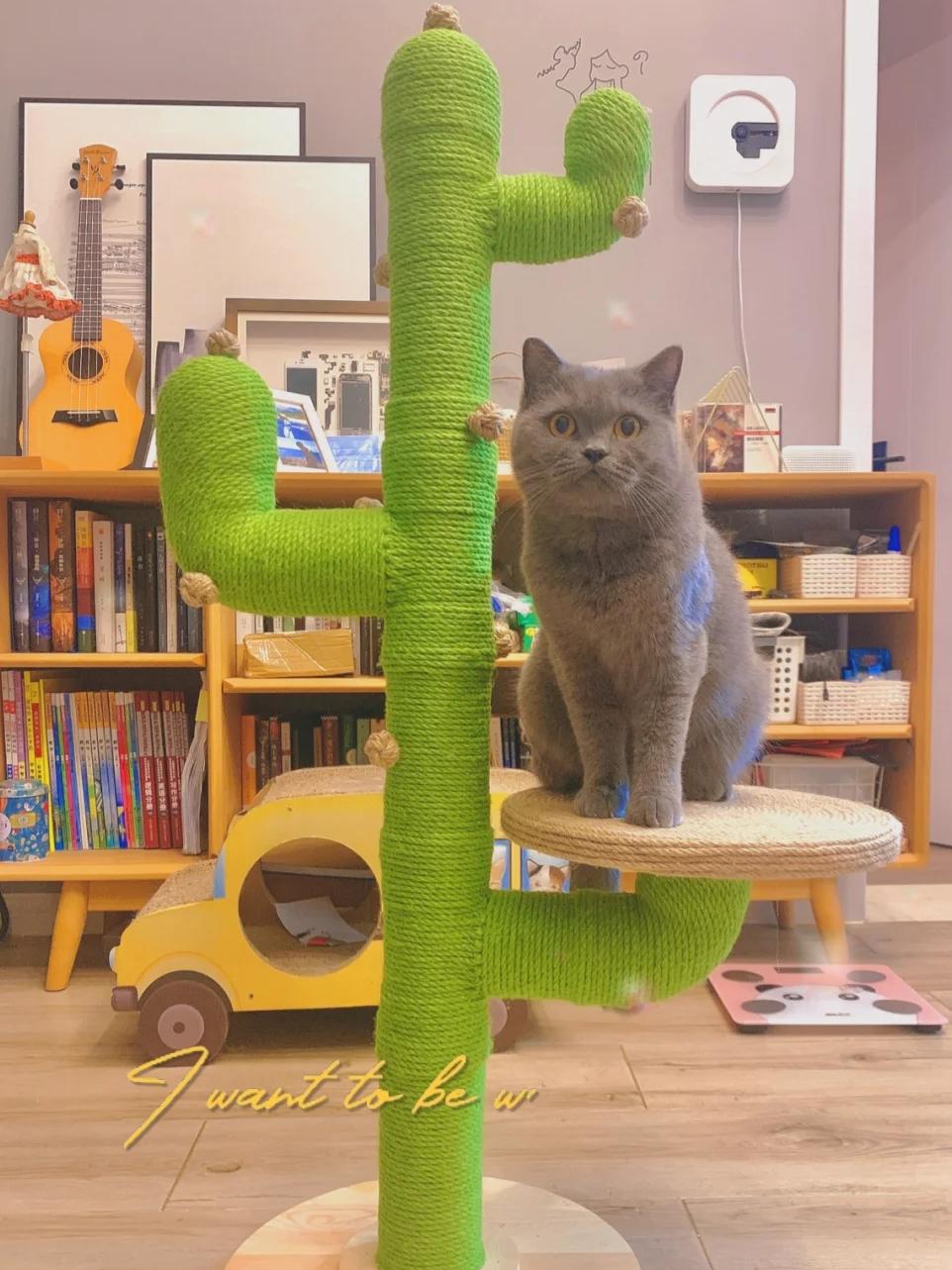 网购省钱的5个小绝招,网购学会这些省钱关键词