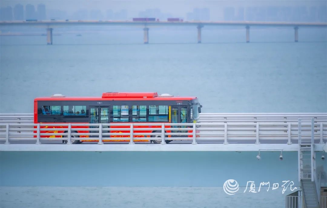 厦门市交通运输局局长公示,厦门市交通运输部最新通知