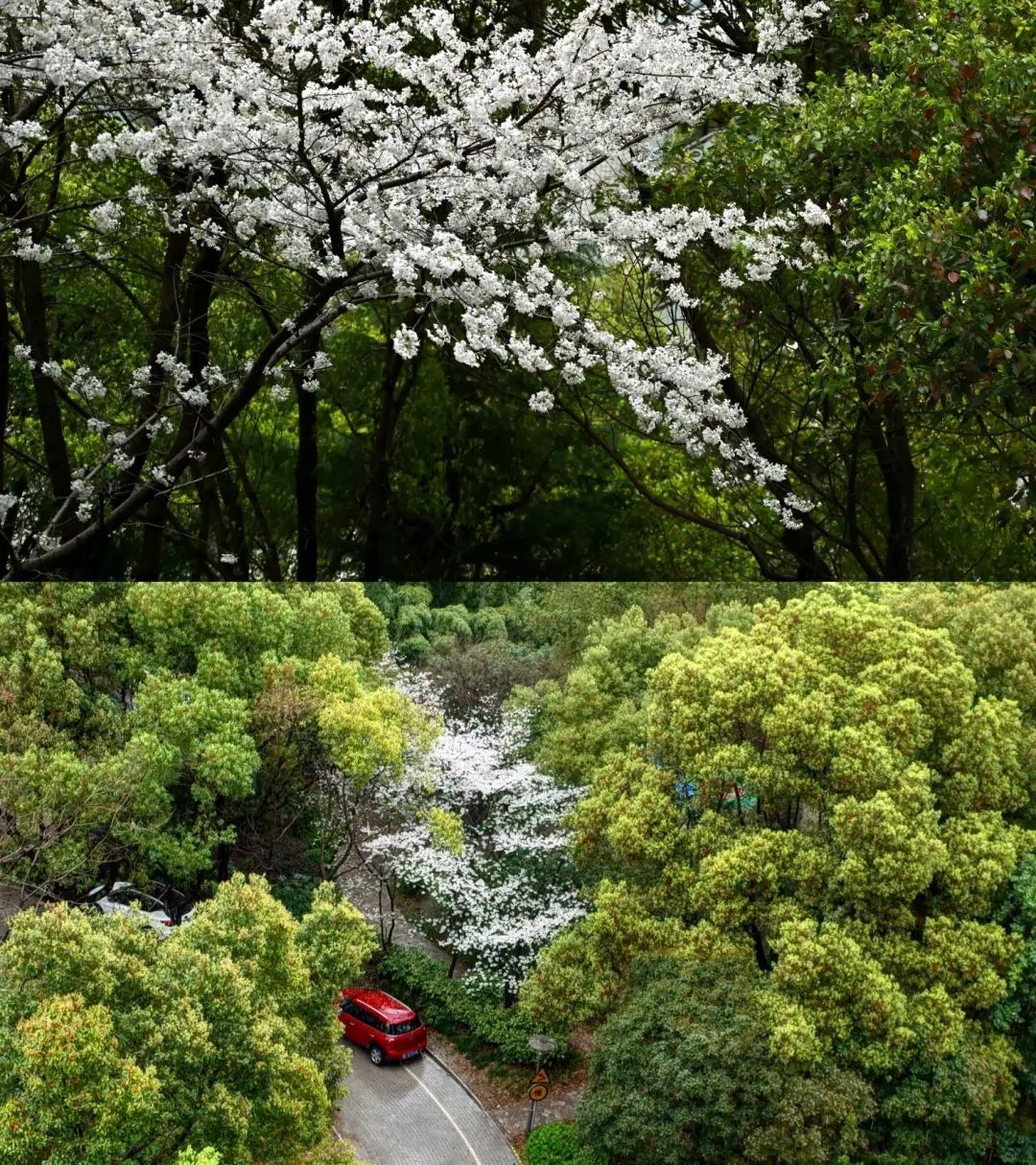 错过了一个秋天,错过了一个春秋