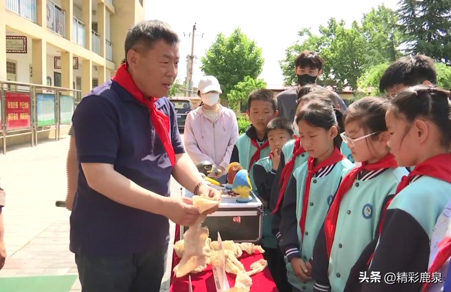 鹿泉：爱护动物共建生态家园