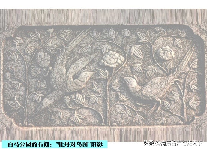 白马公园白马石刻朝代,公园石刻精品欣赏