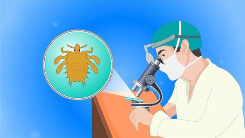 阴部尴尬的瘙痒，可能是阴虱在作怪，警惕阴虱的这3个传播途径