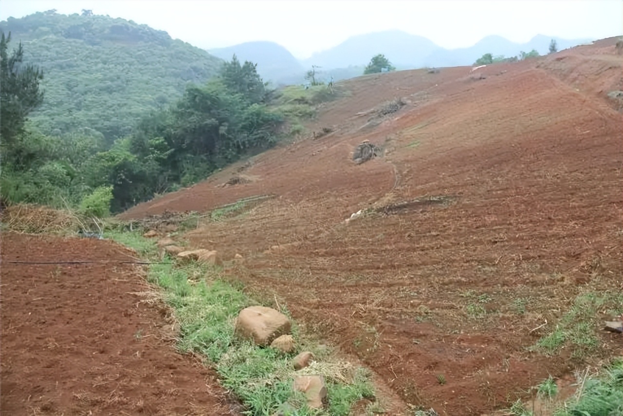 只赚不赔的投资坑,只赚不赔的投资是骗人的吗