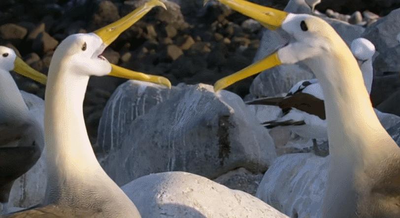 模范夫妻离婚了吗,再恩爱的夫妻最后都会离婚吗