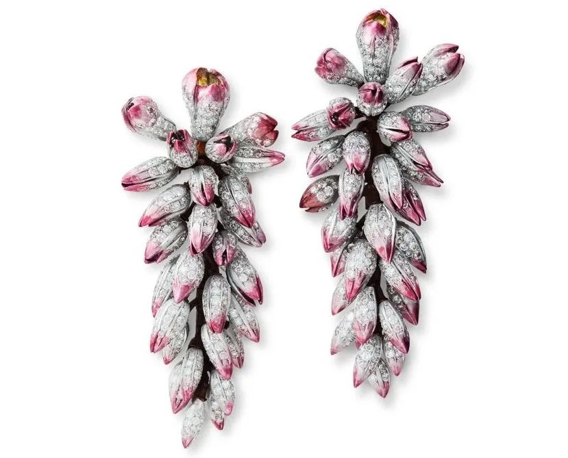 涓轰粈涔堣繖浜涘僵瀹濊繖涔堣吹,鐐僵鐝犲疂