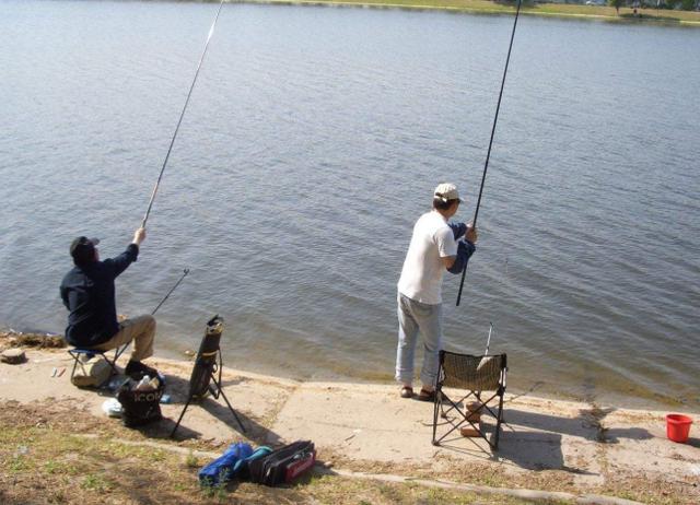 鱼上浮怎么办,上鱼时正确的收竿方法