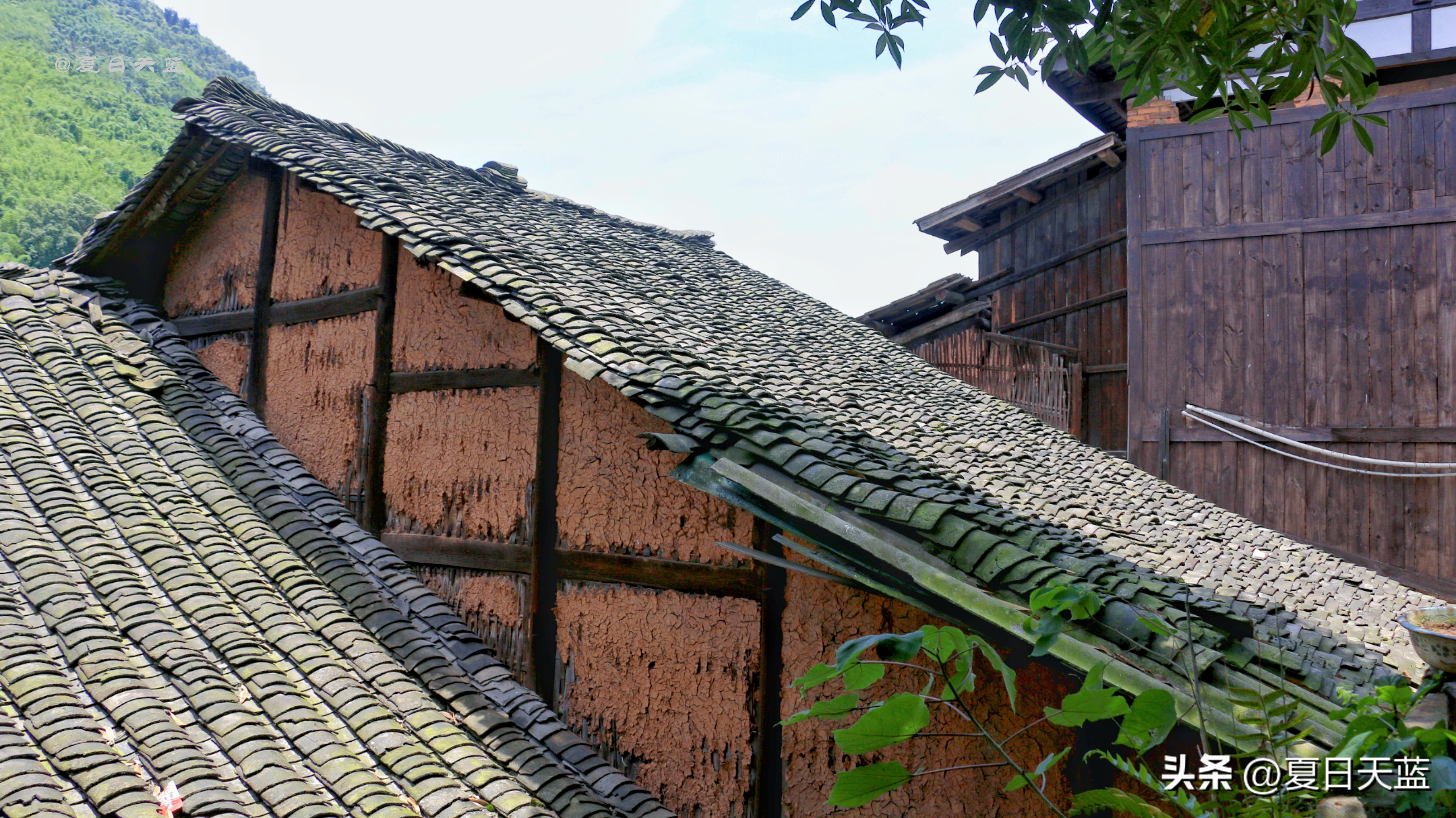 最新贵州赤水旅游攻略图,赤水市丙安古镇怎么游览