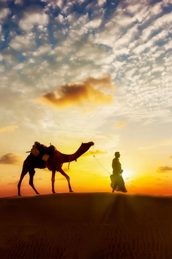 《梁高僧传》白话全译：译经之摄摩腾，竺法兰，安世高