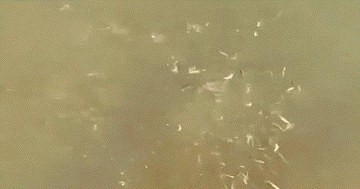 一半喜一半忧,一半喜一半忧粤语