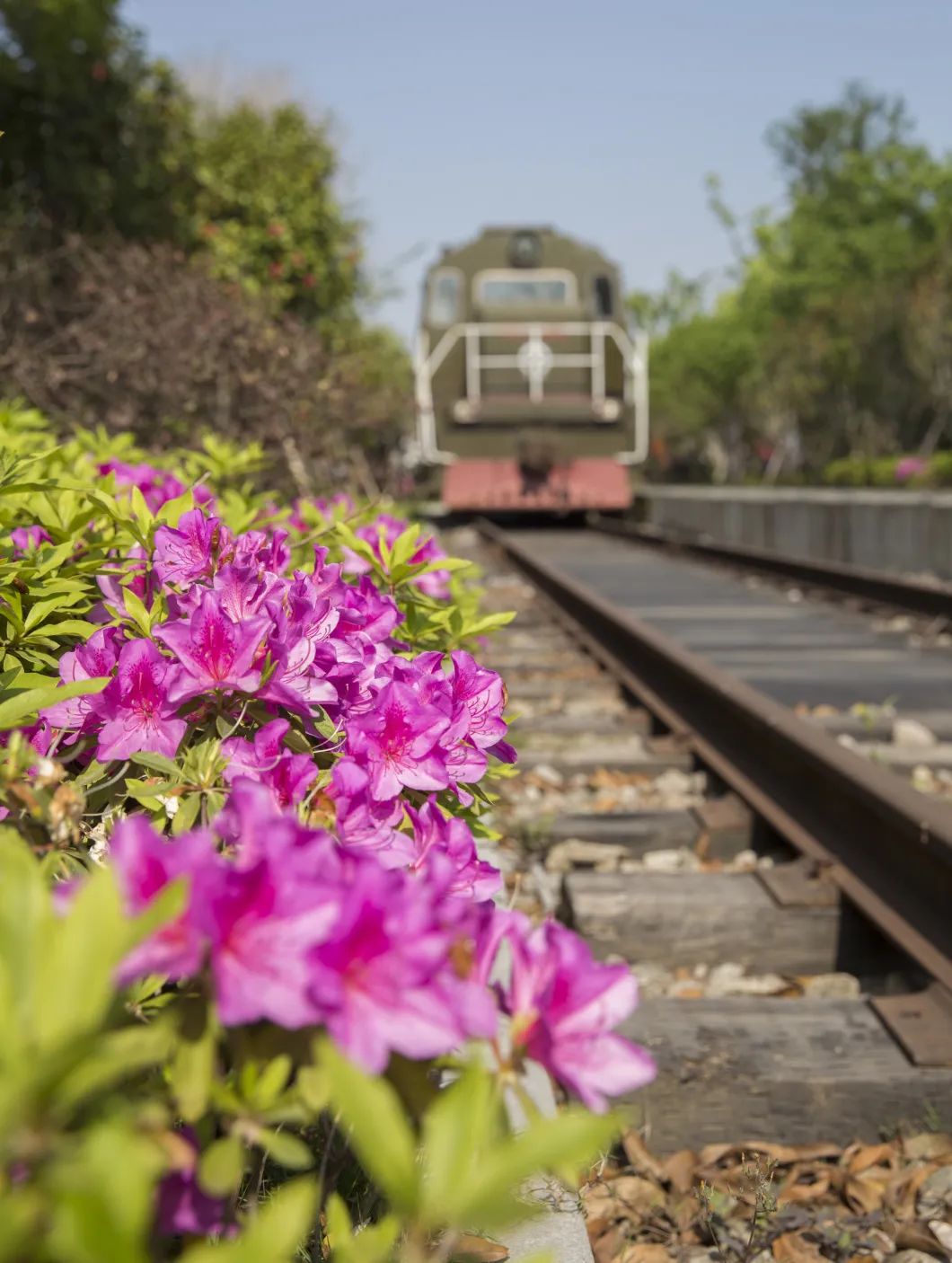 全国生态环境日主题,全国生态日绿水青山就是金山银山
