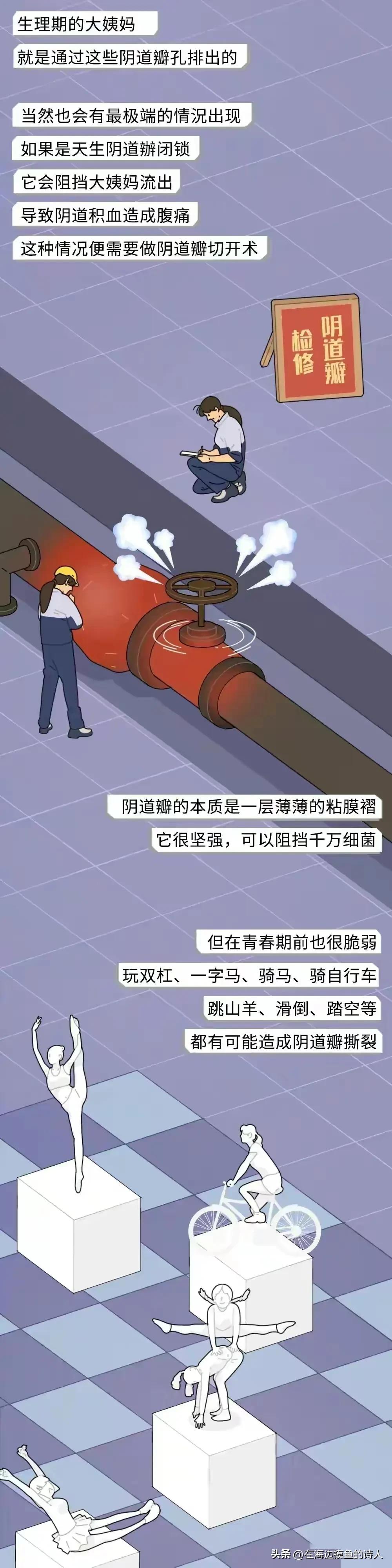 女生生理结构冷知识科普,奇妙的女孩子