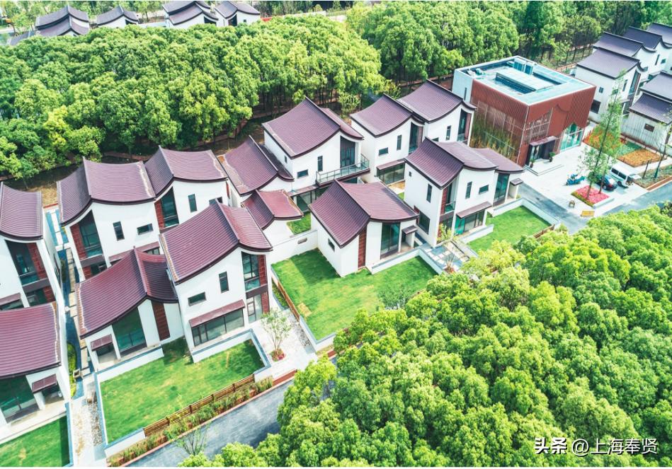 庄行镇乡村振兴,庄行镇发展规划