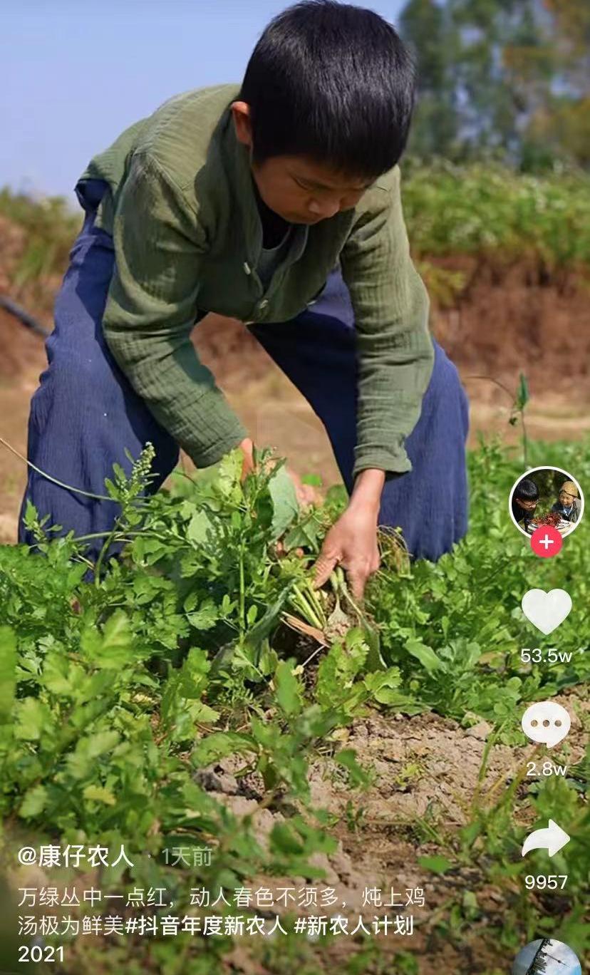 2021十位神级网红,2021年十大网红都是什么境遇