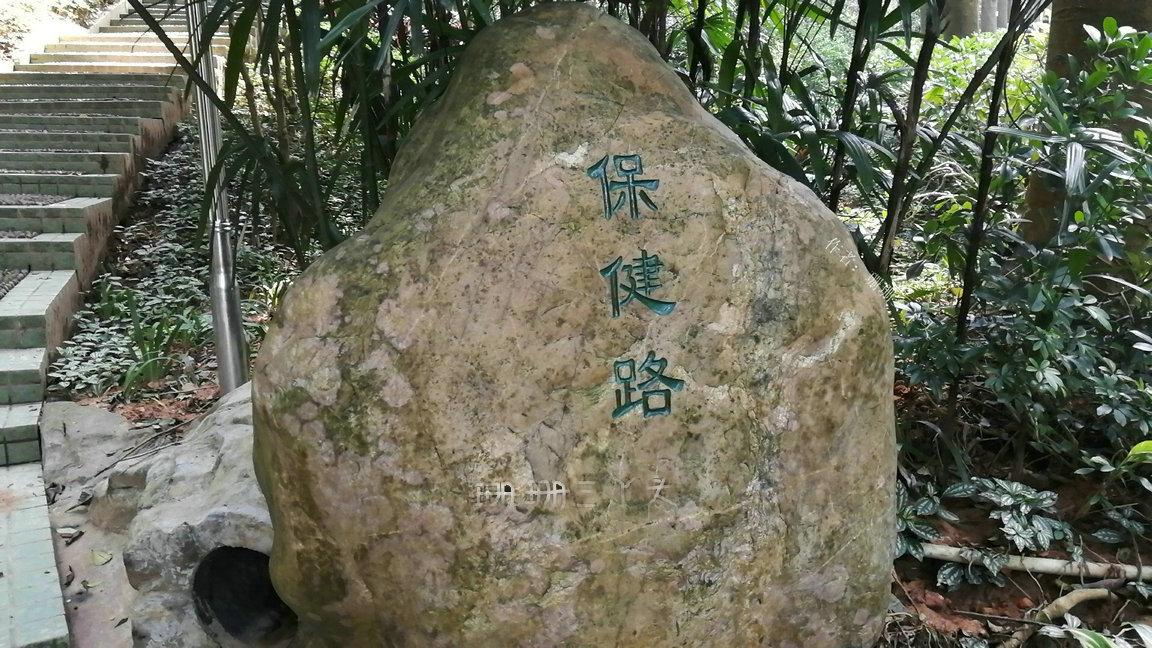 广州一日游最佳路线免费好玩景点,广州游玩景点一日游推荐路线