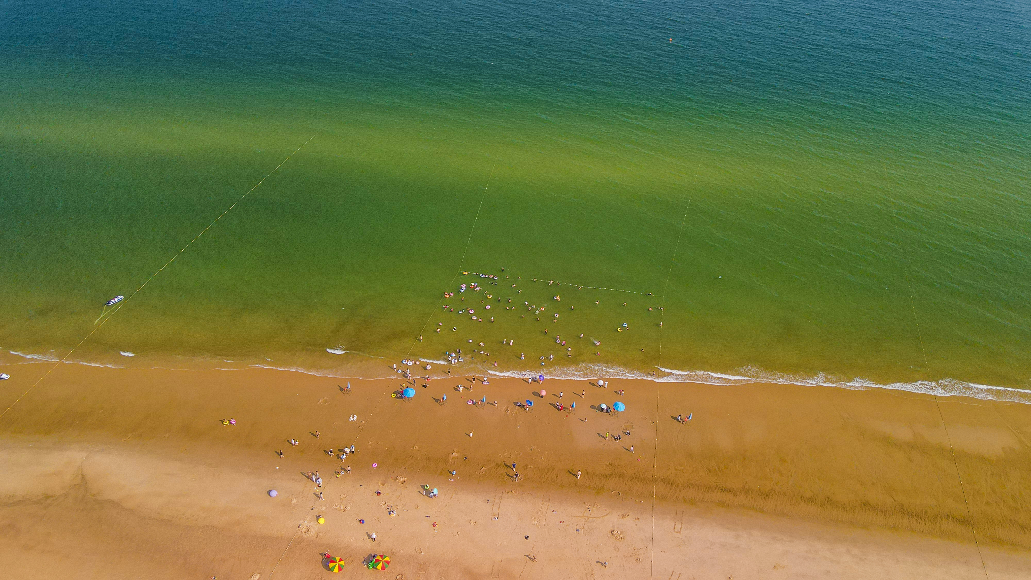 广东漂亮好玩的海岛,广东省最好的海洋公园