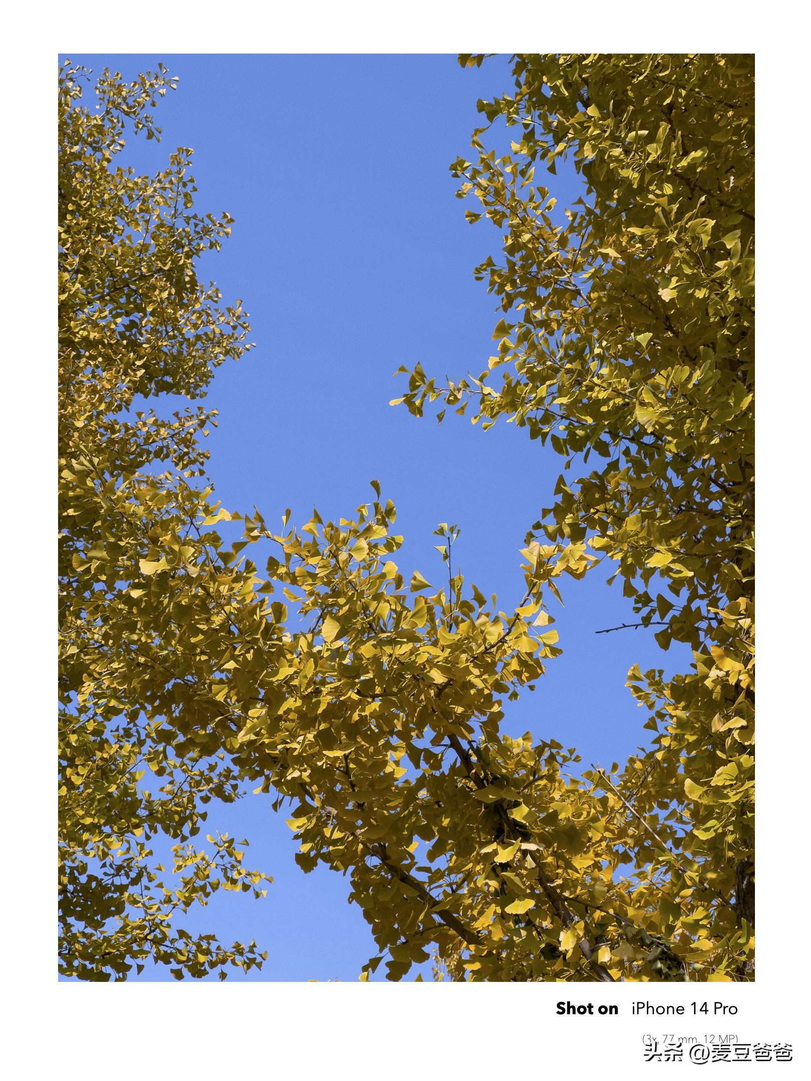 如何利用苹果14手机拍高清图片,iphone14如何拍出好看照片