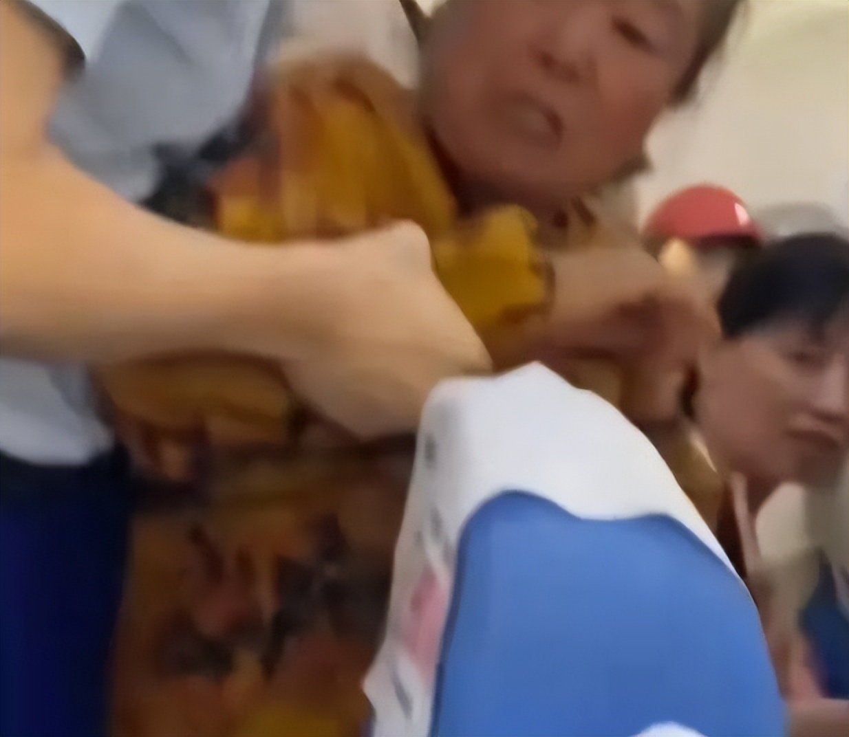 东北大妈飞机上辱骂女子,东北大妈飞机上辱骂女子后续