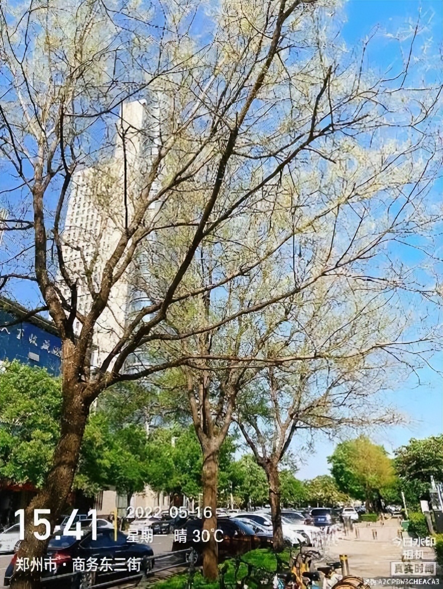 12月份园林绿化养护工作重点,元月份园林养护重点工作