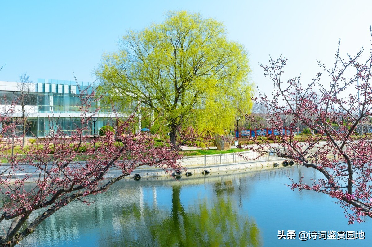 梅花垂柳竞*光春**,晏几道2首写早春景色的词,哪一首更美呢?