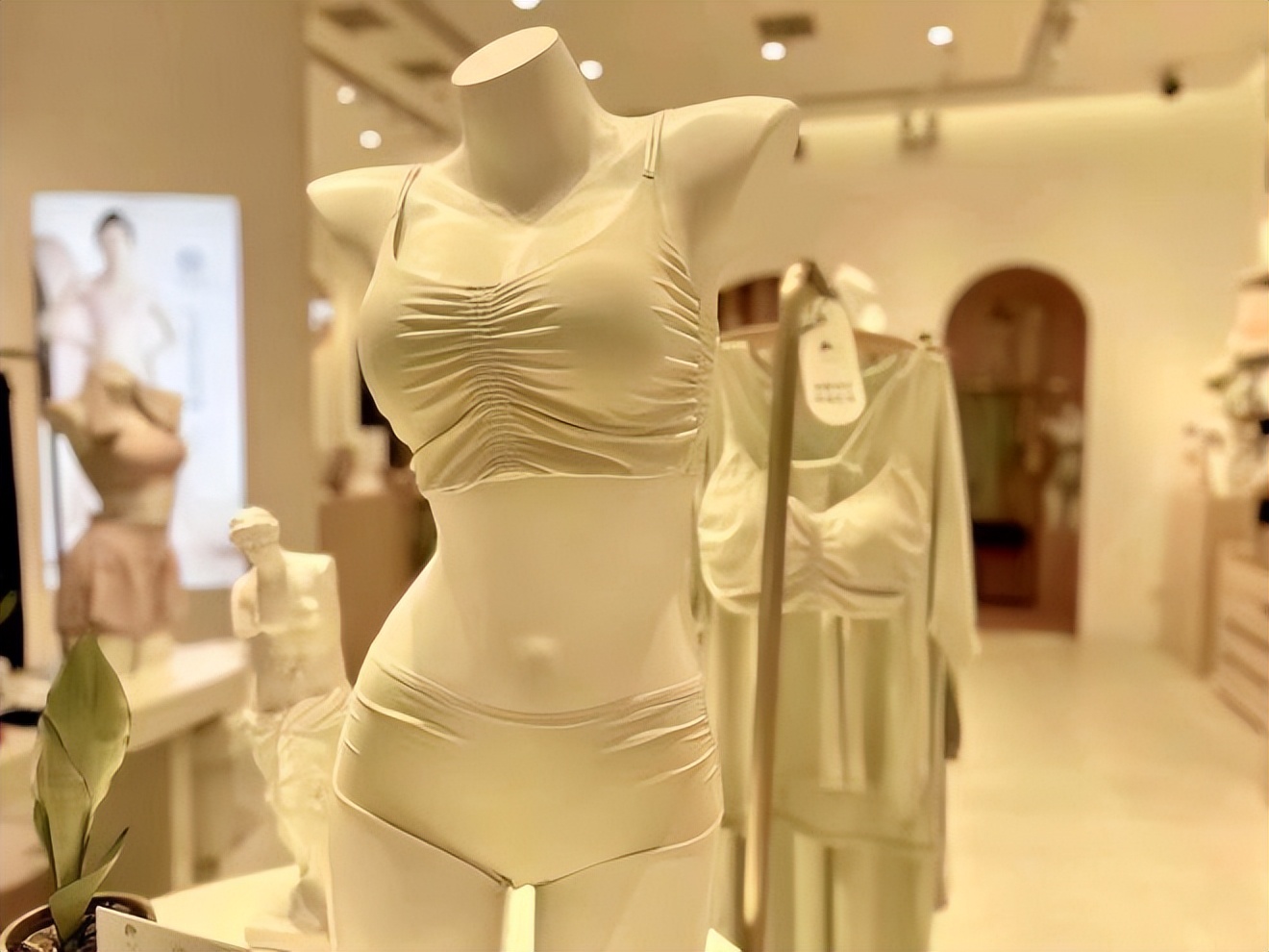 台湾内衣品牌2022,内衣品牌加盟中国前十名