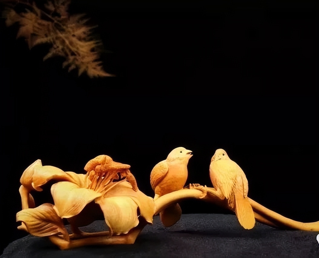 最好看的黄杨木,十种最好看的黄杨木