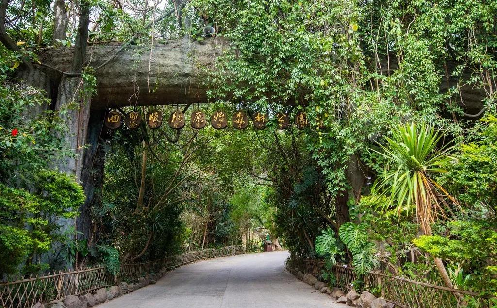 云南西双版纳旅游攻略app,云南西双版纳旅游攻略自由行12月