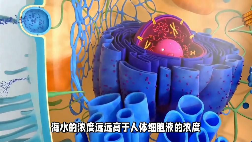 海水能喝吗喝了海水会怎么样,喝了海水的后果