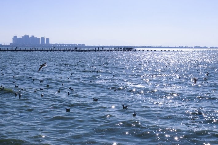 去云南旅游大概需要花费多少钱,去云南旅游一般花费多少天合适呢