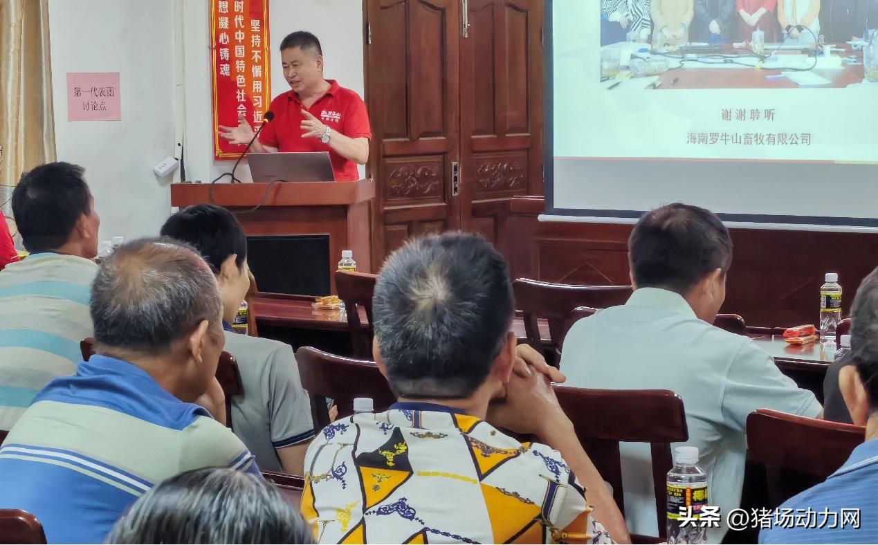 海南现代化黑猪养殖,海南黑猪饲养成本