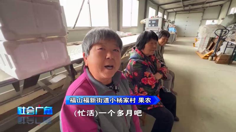 村里来了大老板？拿走50万樱桃不给钱！