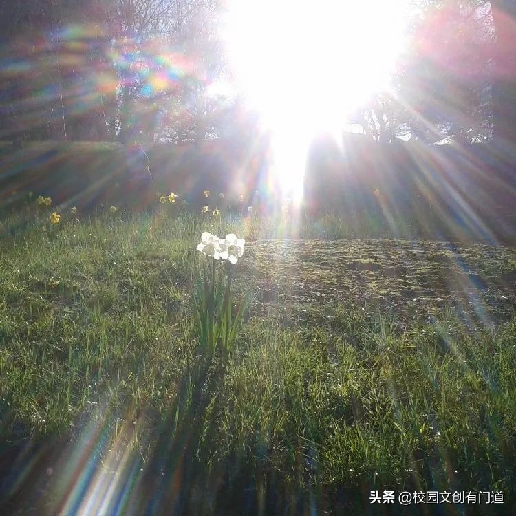 校徽创意设计40年,学校校徽logo设计图片五周年