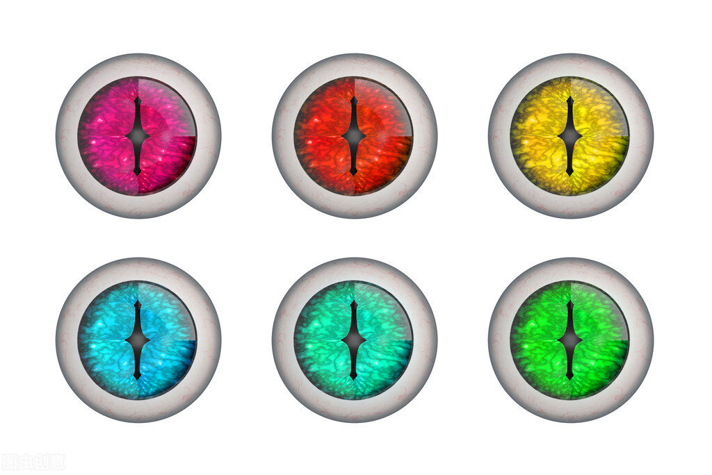 猫咪眼睛的颜色你了解吗？快看看你家主子是那种