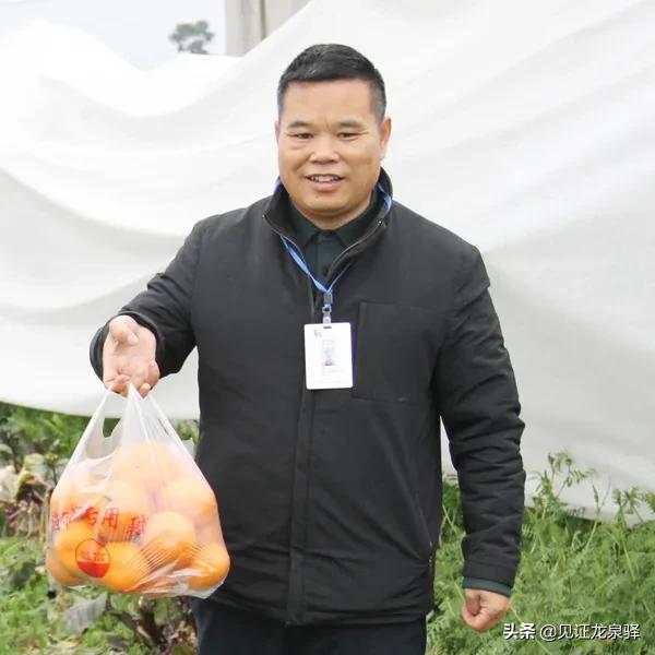 龙泉附近的农庄,龙泉生态农庄